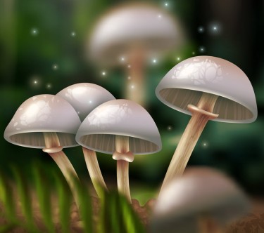 MUSHROOMS FOR DEPRESSION