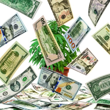 tax money weed