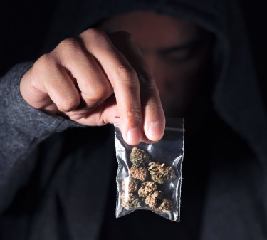 illegal weed market size
