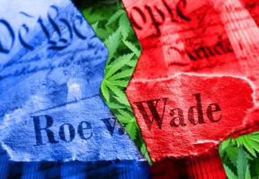 abortion cannabis vote on the same ballot