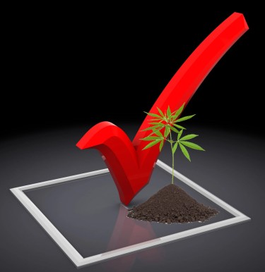 ABORTION RIGHTS CANNABIS LEGALIZATION BALLOTS