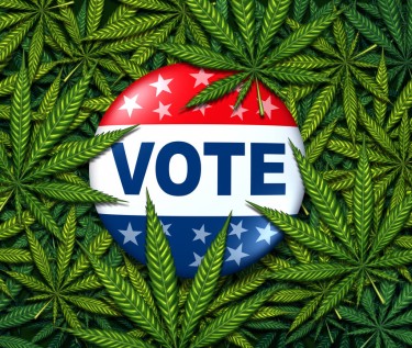 VOTE ON MARIJUANA ISSUES
