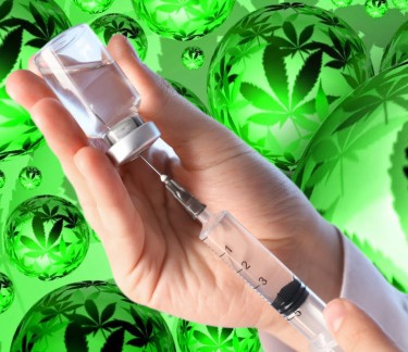 terpenes for morphine