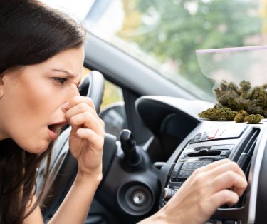 weed smell out of car