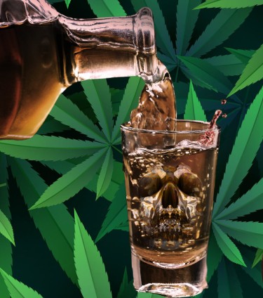 cannabis use overtakes alcohol