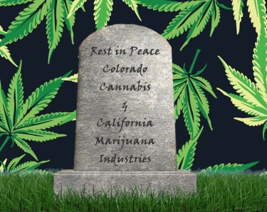 the rise and fall of pioneer pot markets