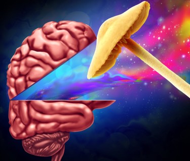 enthegoens psychedelics