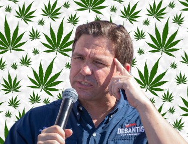 DESANTIS VETOES HEMP BILL