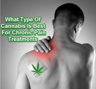 CANNABIS PRODUCTS FOR CHRONIC PAIN