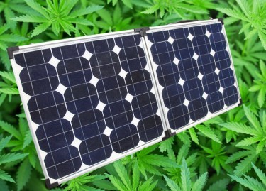 solar power to grow marijuana