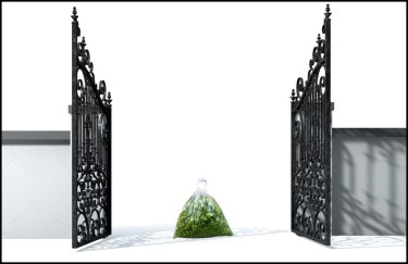 CANNABIS IS NOT A GATEWAY DRUG