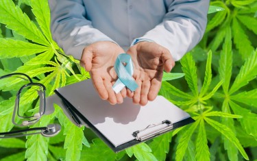 CANNABIS FOR PROSTATE CANCER