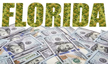 FLORIDA CANNABIS FUND RAISING