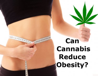 CANNABIS REDUCES OBESITY
