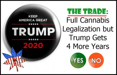 TRUMP IF HE LEGALIZED WEED, YES OR NO