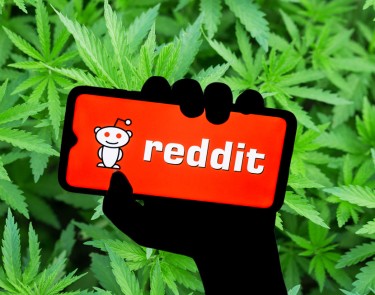 reddit cannabis study