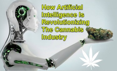 CANNABIS AI REVOLUTION