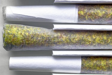 PRE-ROLL TIPS