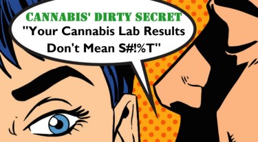 CANNABIS LAB SHOPPING FOR THC