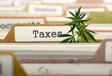 CANNABIS TAX REVENUE NUMBER