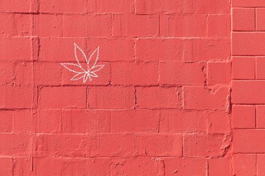 red wall blocking weed