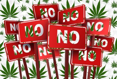 trump votes on marijuana