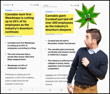 WHEN IS THE BOTTOM IN THE CANNABIS INDUSTRY