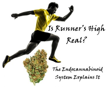 RUNNERS USING CANNABIS