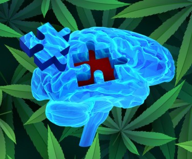 CANNABIS FOR DEMENTIA TREATMENTS