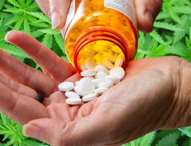 opioid crisis and cannabis
