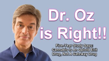 DR OZ ON CANNABIS AND OPIOIDS