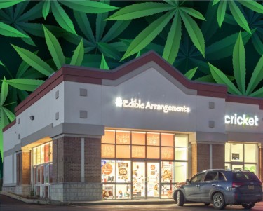 edible arragements with hemp thc products