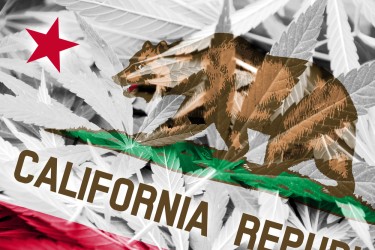 california cannabis legality