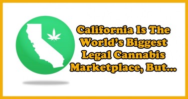 CALIFORNIA CANNABIS PROBLEMS