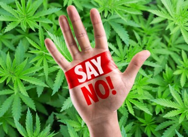 Head of DEA not cannabis friendly