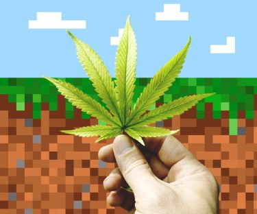 minecraft marijuana
