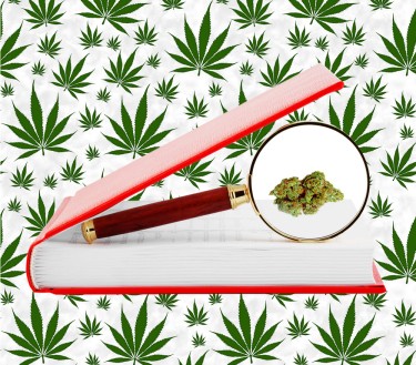 marijuana research papers