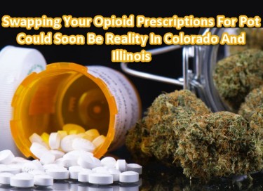 OPIOIDS FOR POT