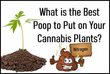 BEST POOP FOR CANNABIS PLANTS