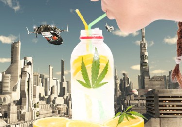 THE FUTURE OF CANNABIS IS BEVERAGES
