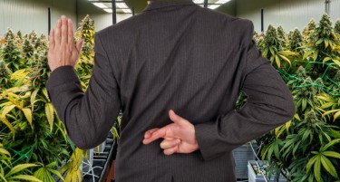 cannabis scheduling ruse 