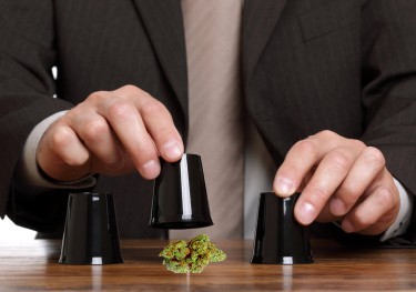 cannabis shell game