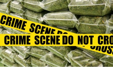weed stolen from police station