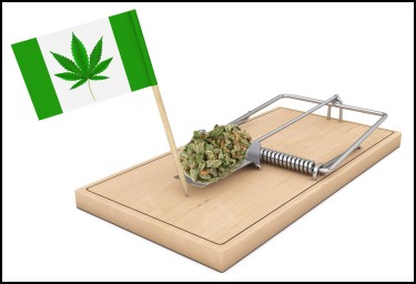 MICE AT MARIJUANA AT POLICE STATION