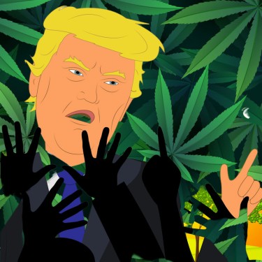 TRUMP BLAMES DISORDER ON WEED