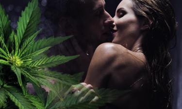 SEX WHILE HIGH ON CANNABIS
