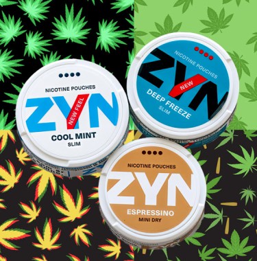 zyn pouches marijuana weed