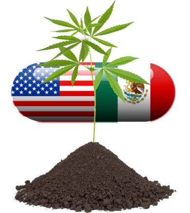 DEA VS MEXICAN CARTELS