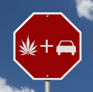 CANNABIS DRIVING SURVEY DATA