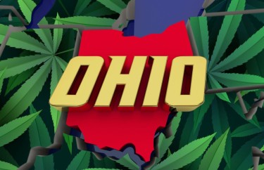OHIO MARIJUANA SENATOR DAVID JOYCE